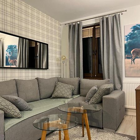 Apartament Dziki Rogacz 什恰夫尼察 外观 照片