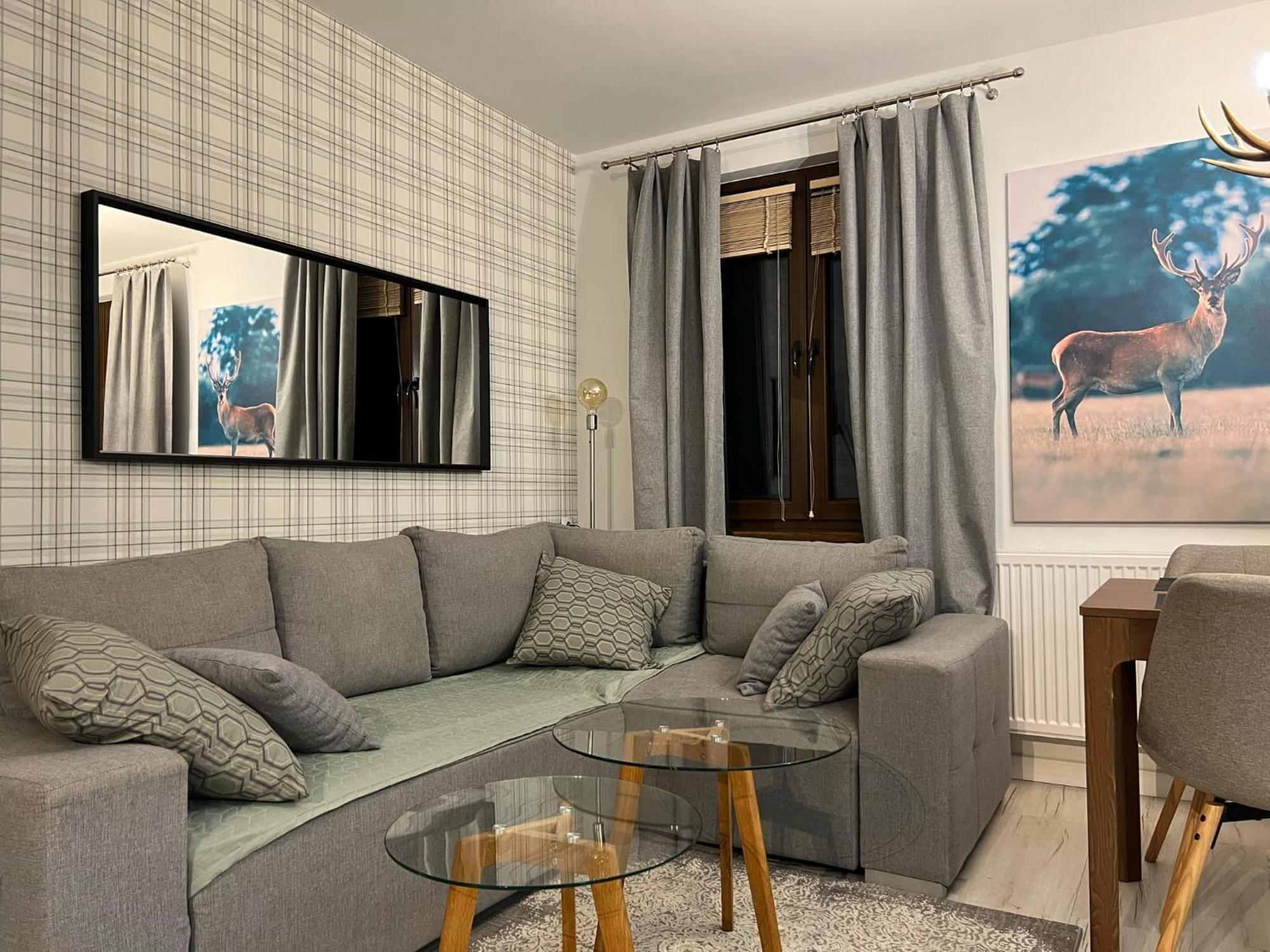 Apartament Dziki Rogacz 什恰夫尼察 外观 照片